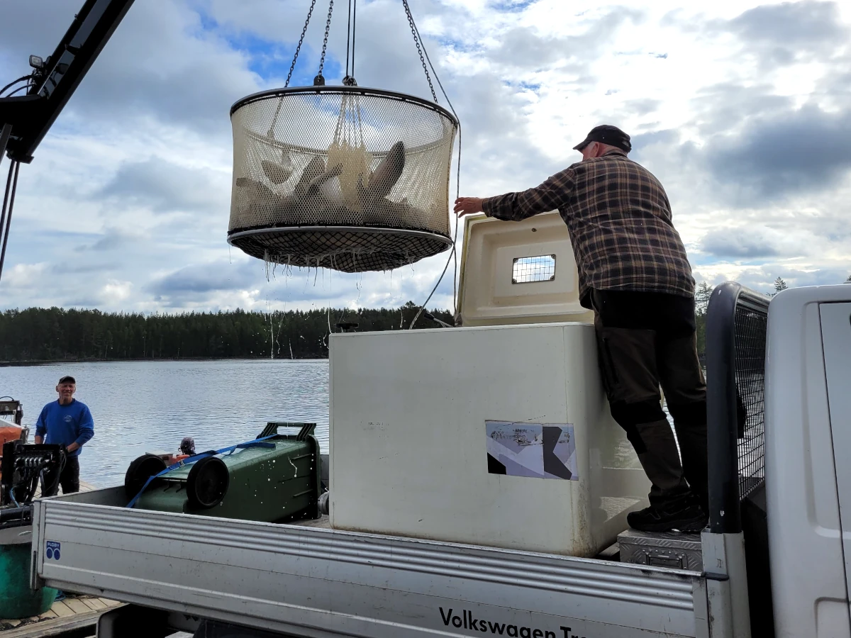 Skylt isfiskepremiär 2024