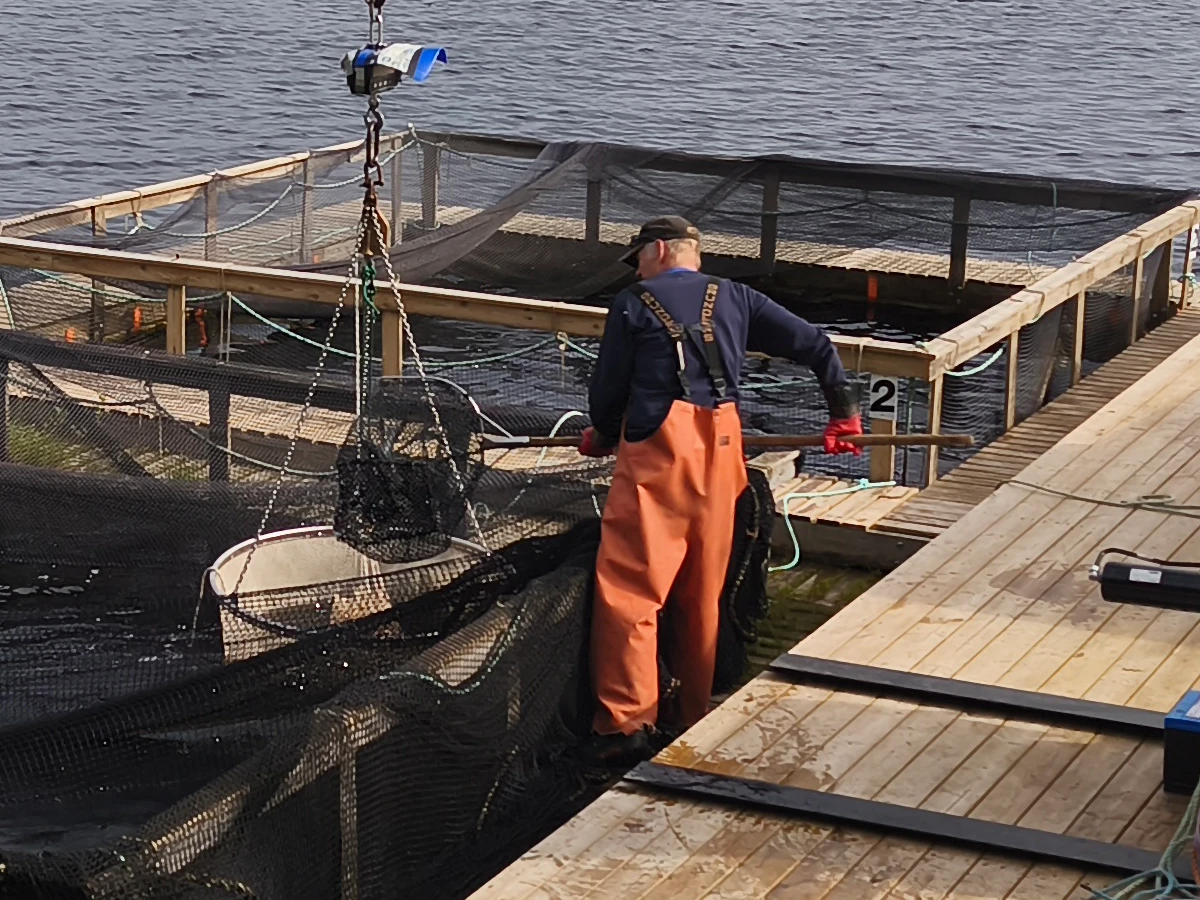 Skylt isfiskepremiär 2024