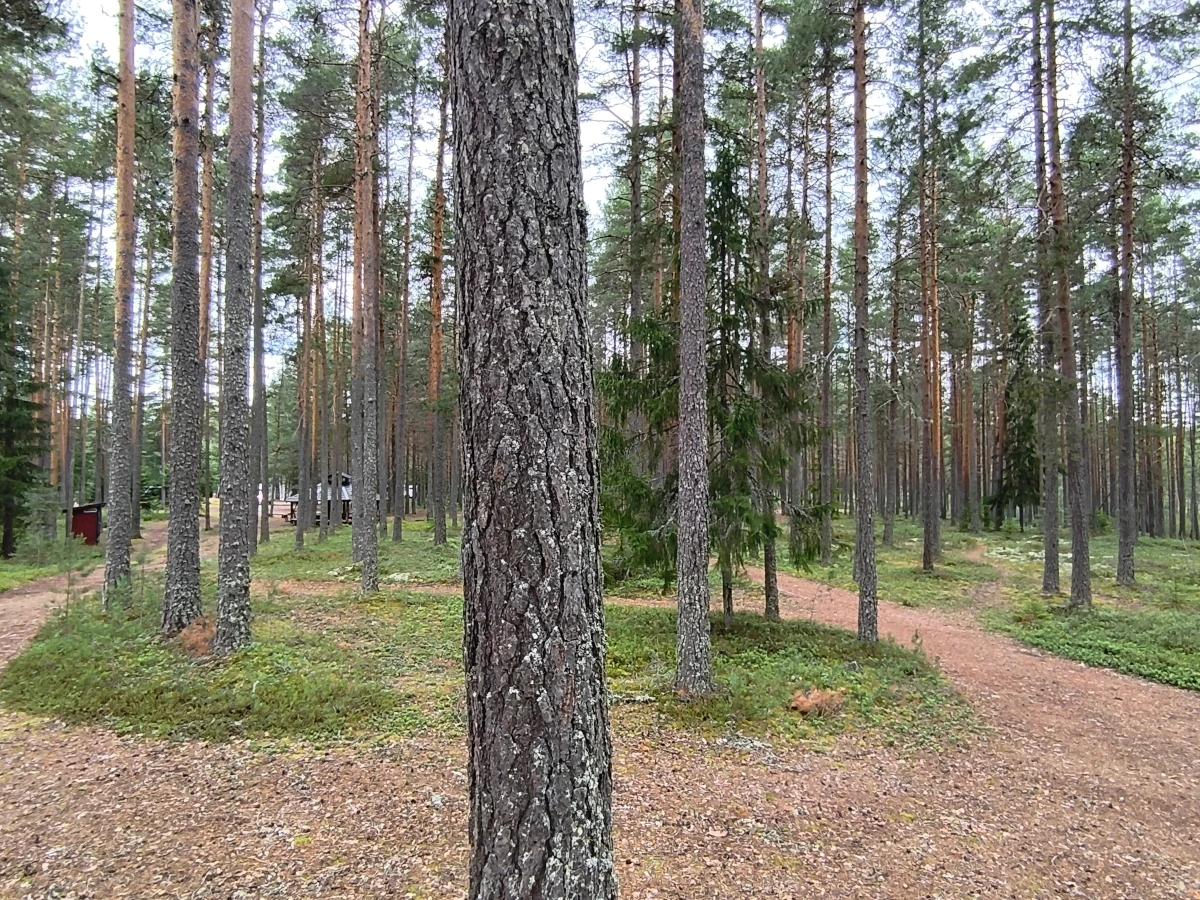 Skylt isfiskepremiär 2024