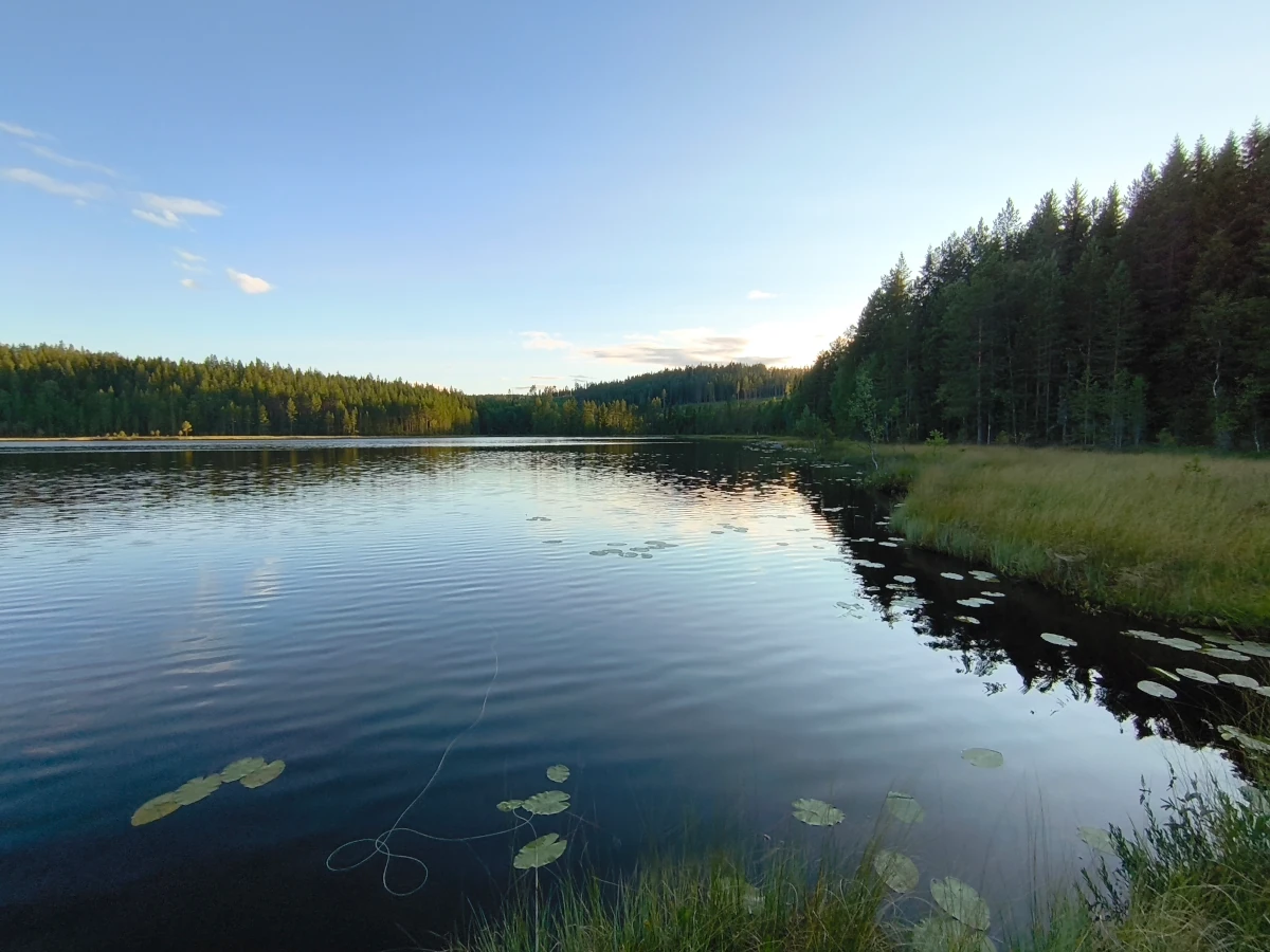 Skylt isfiskepremiär 2024