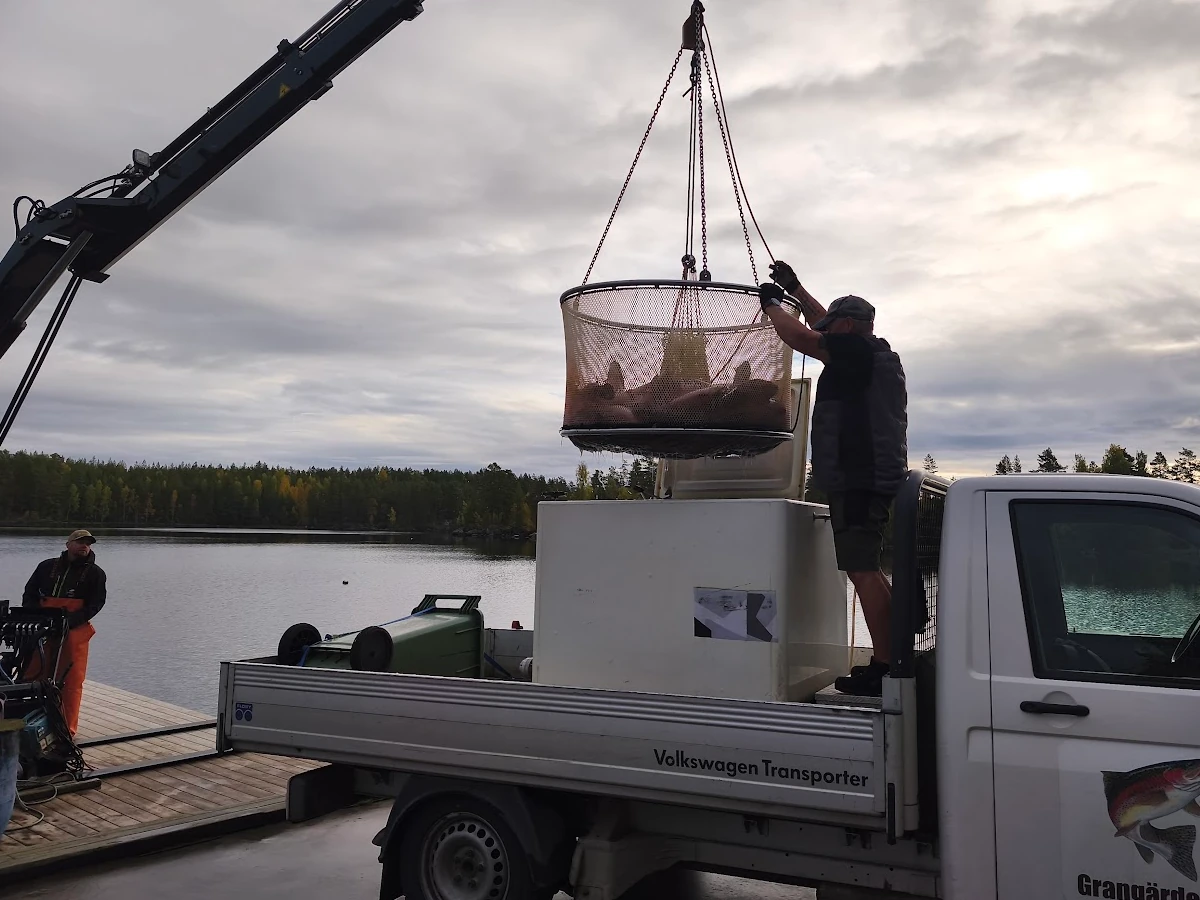 Skylt isfiskepremiär 2024